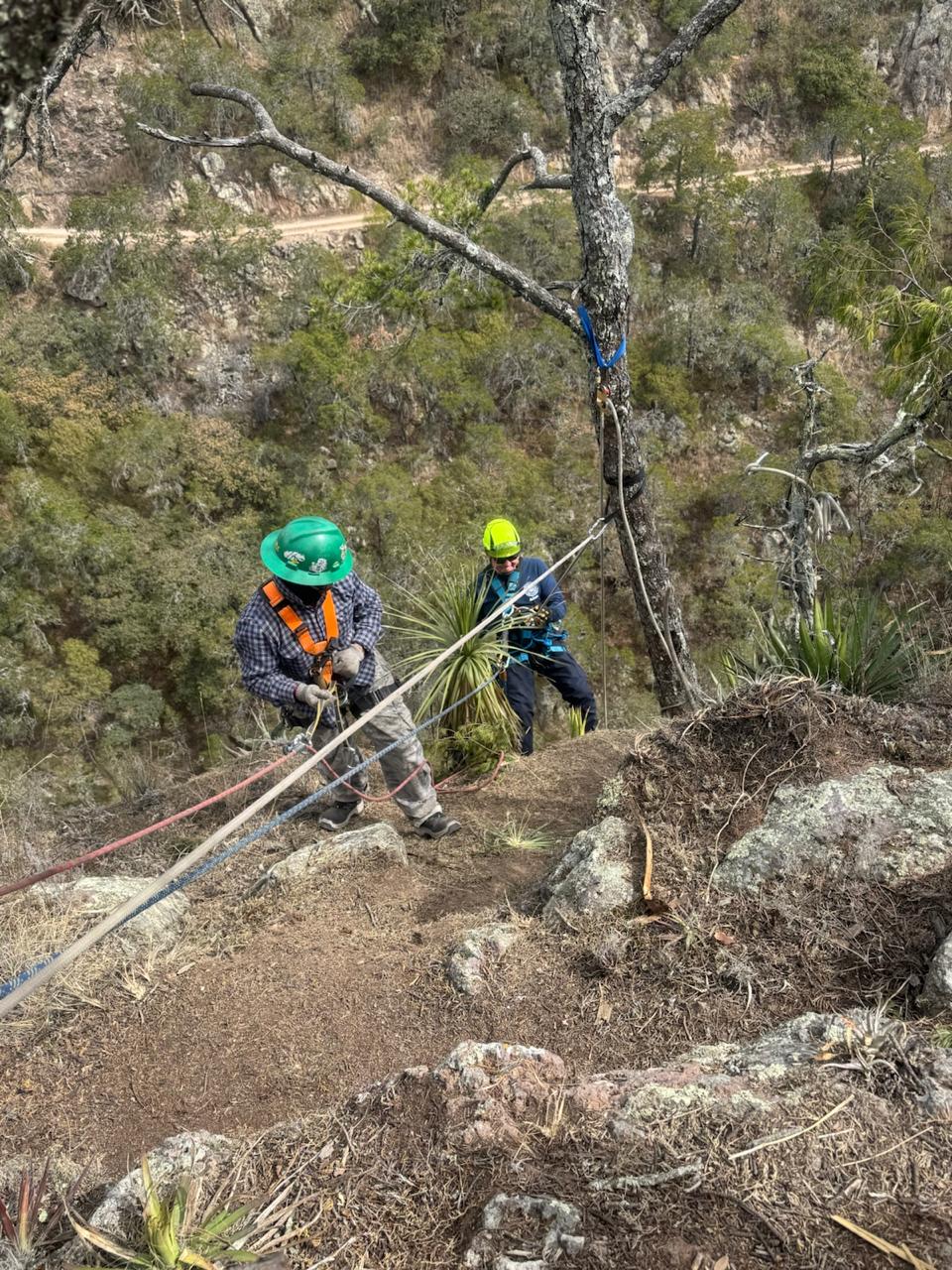 Cursos y Asesorías — ESIISA
