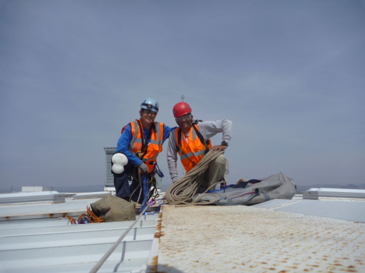 Servicios Especiales — ESIISA